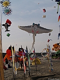 L0300339
