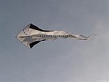 L0300346