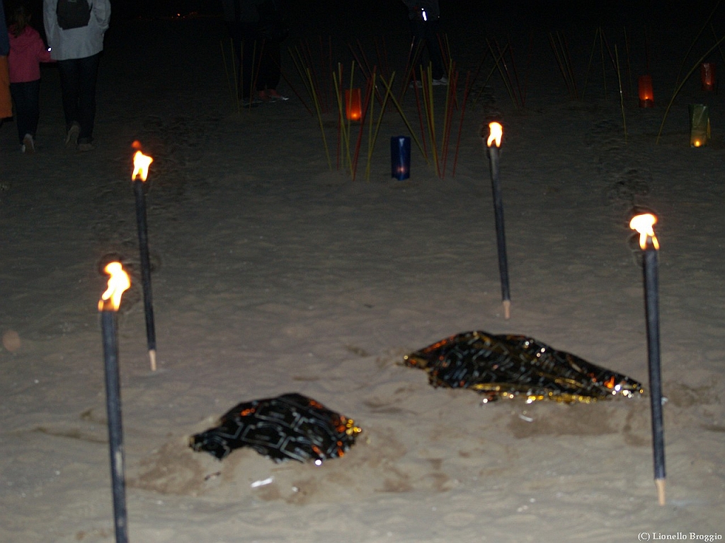 L0010437.jpg