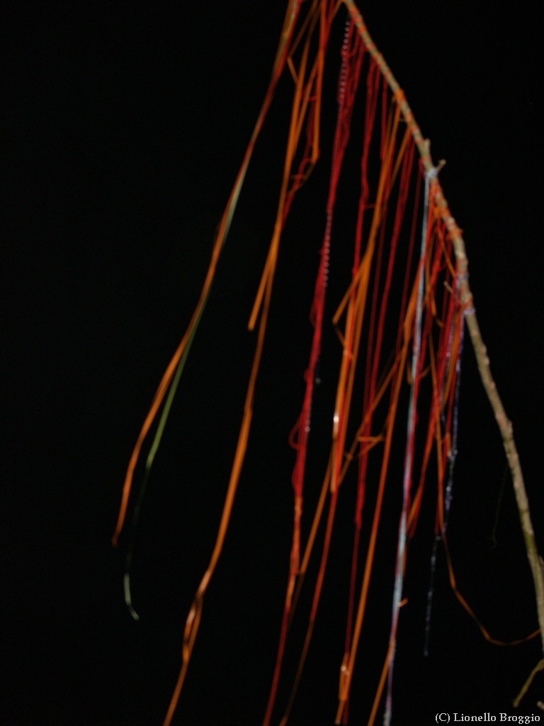 L0010440.jpg