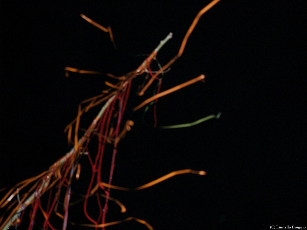 L0010475.jpg