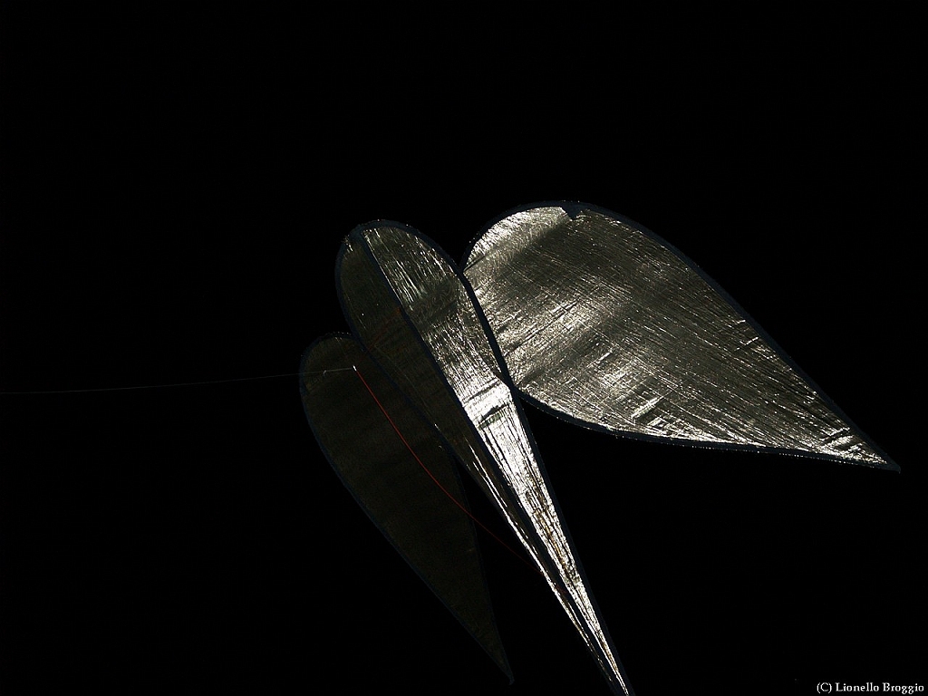 L0010484.jpg