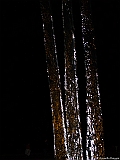 L0010436