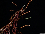 L0010475