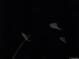 L0010482-A