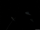 L0010482