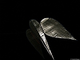 L0010484