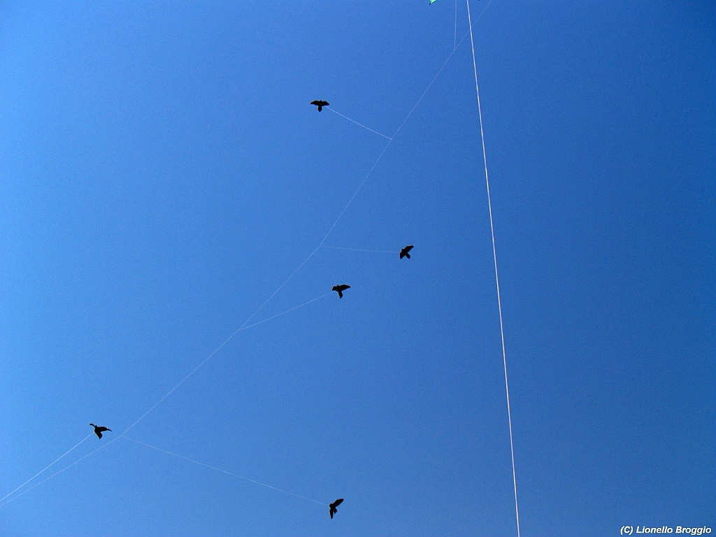 Numana08-08-2010-019.jpg
