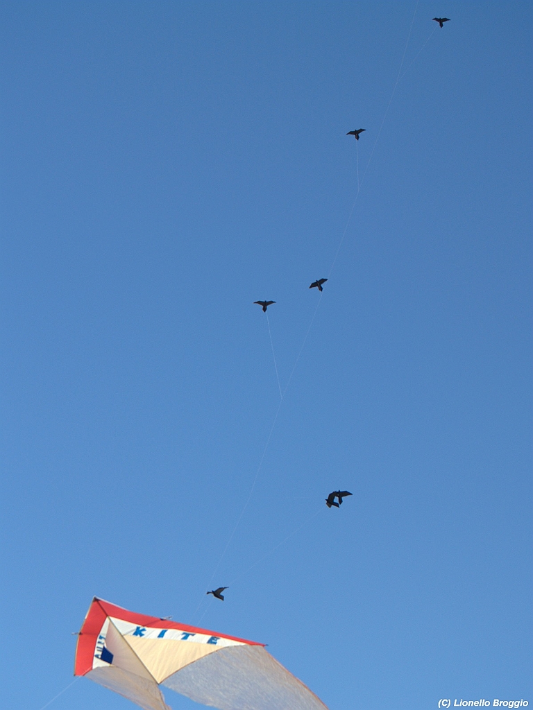 Numana08-08-2010-023.jpg
