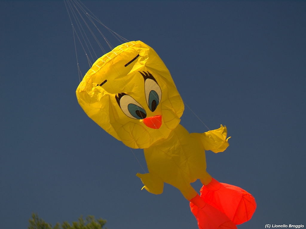 Numana08-08-2010-026.jpg