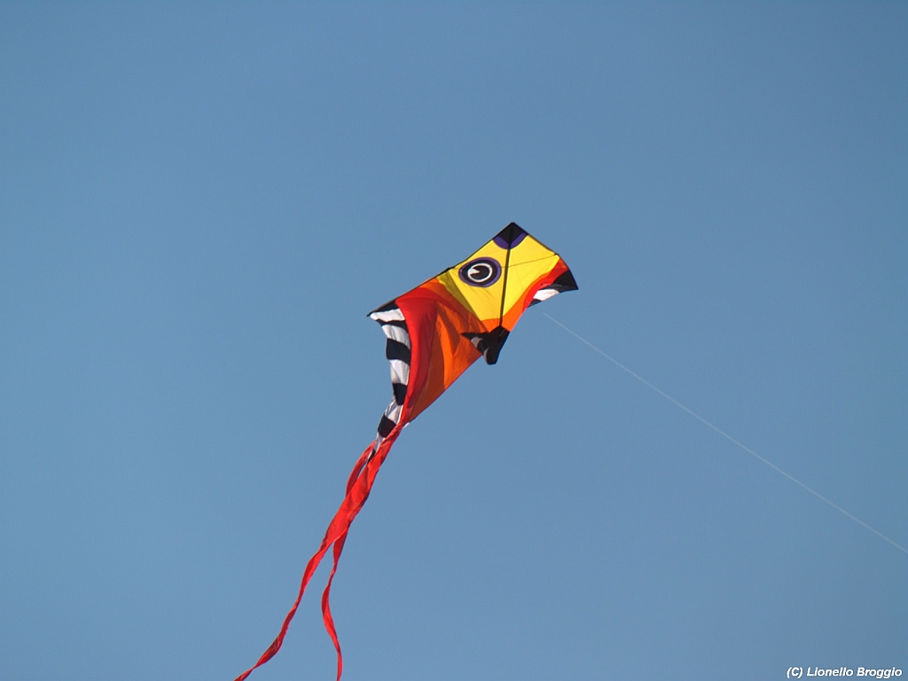 Numana08-08-2010-121.jpg