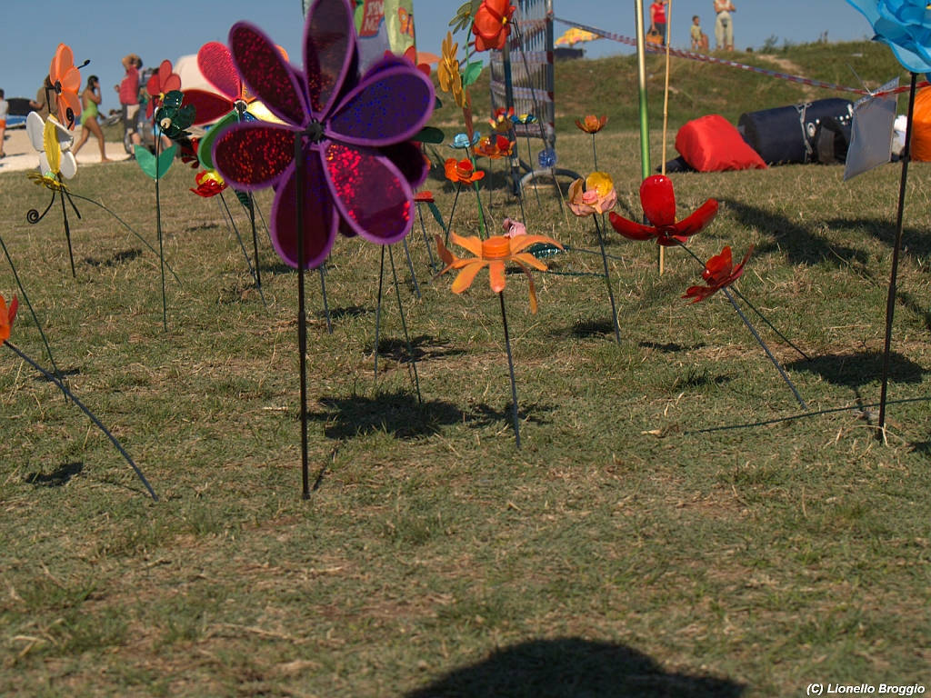 Numana08-08-2010-206.jpg