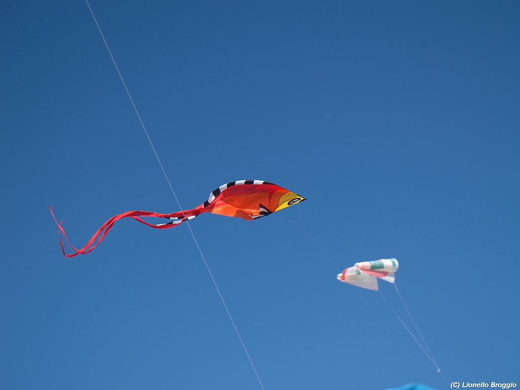 Numana08-08-2010-241.jpg