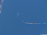 Numana08-08-2010-008