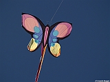 Numana08-08-2010-009