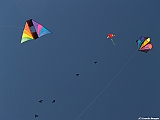 Numana08-08-2010-014