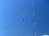Numana08-08-2010-019