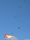 Numana08-08-2010-023