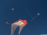 Numana08-08-2010-030