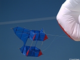 Numana08-08-2010-031