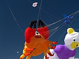 Numana08-08-2010-035