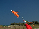 Numana08-08-2010-095