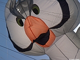Numana08-08-2010-116