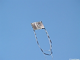 Numana08-08-2010-137
