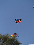 Numana08-08-2010-139
