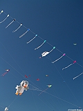 Numana08-08-2010-141