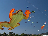 Numana08-08-2010-149