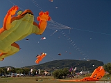Numana08-08-2010-153
