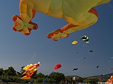 Numana08-08-2010-159