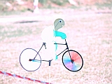 Numana08-08-2010-204