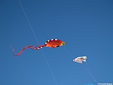 Numana08-08-2010-241