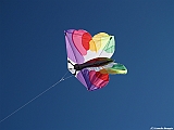 Numana08-08-2010-254