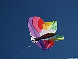 Numana08-08-2010-255