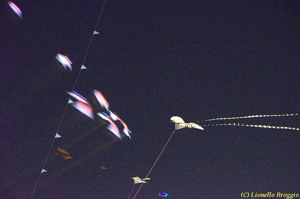 DSC_4394.jpg