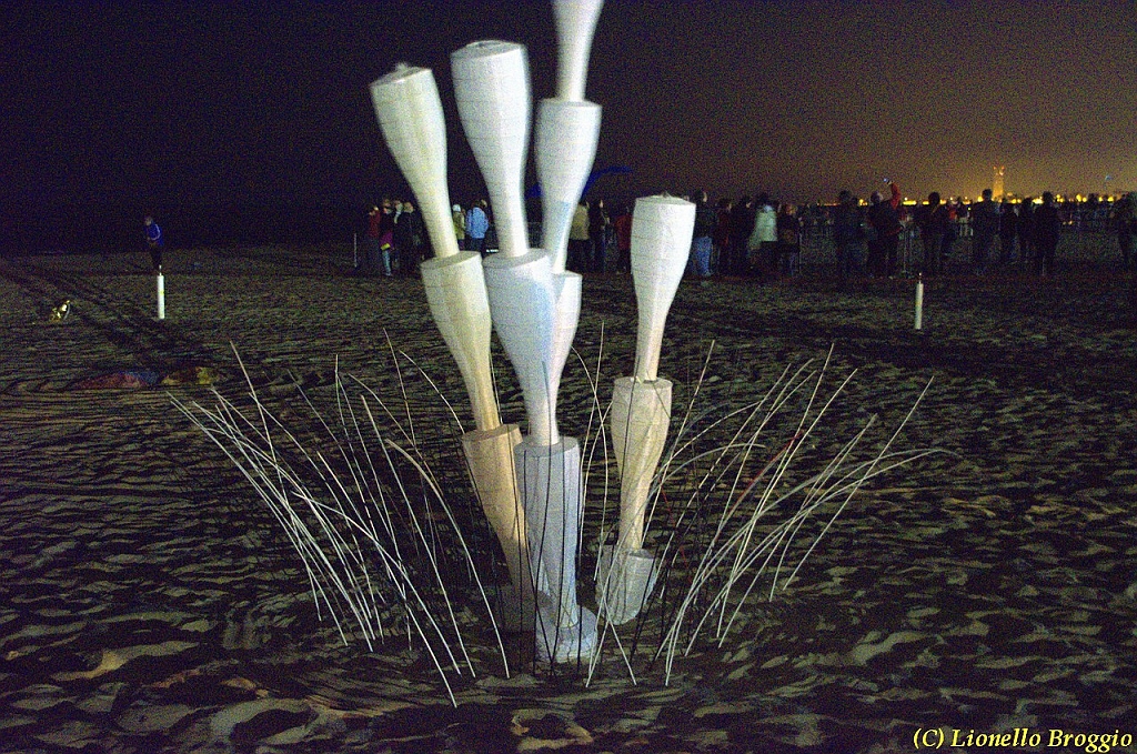 DSC_4396.jpg