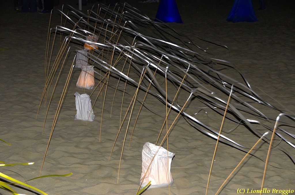DSC_4397.jpg