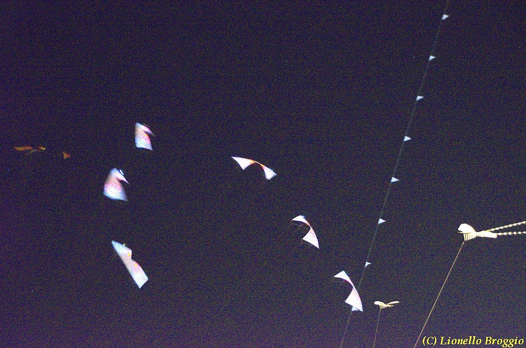 DSC_4402.jpg