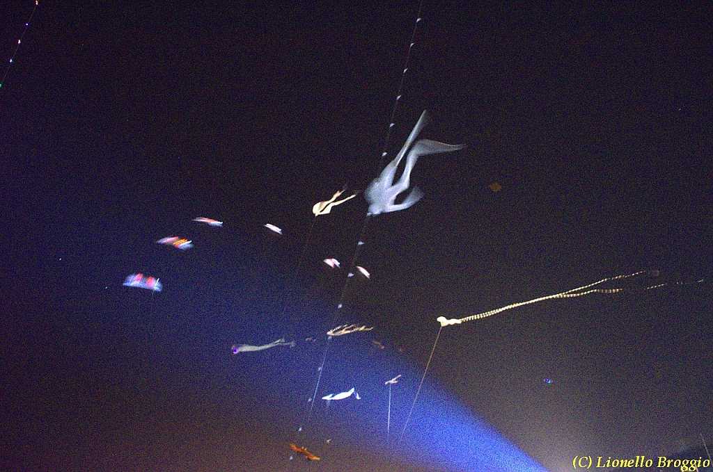 DSC_4415.jpg