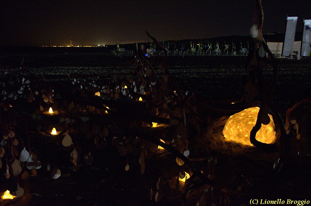 DSC_4443.jpg