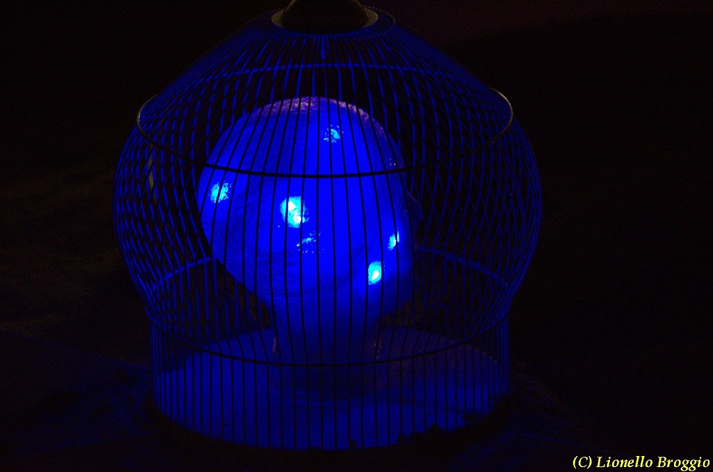 DSC_4452.jpg