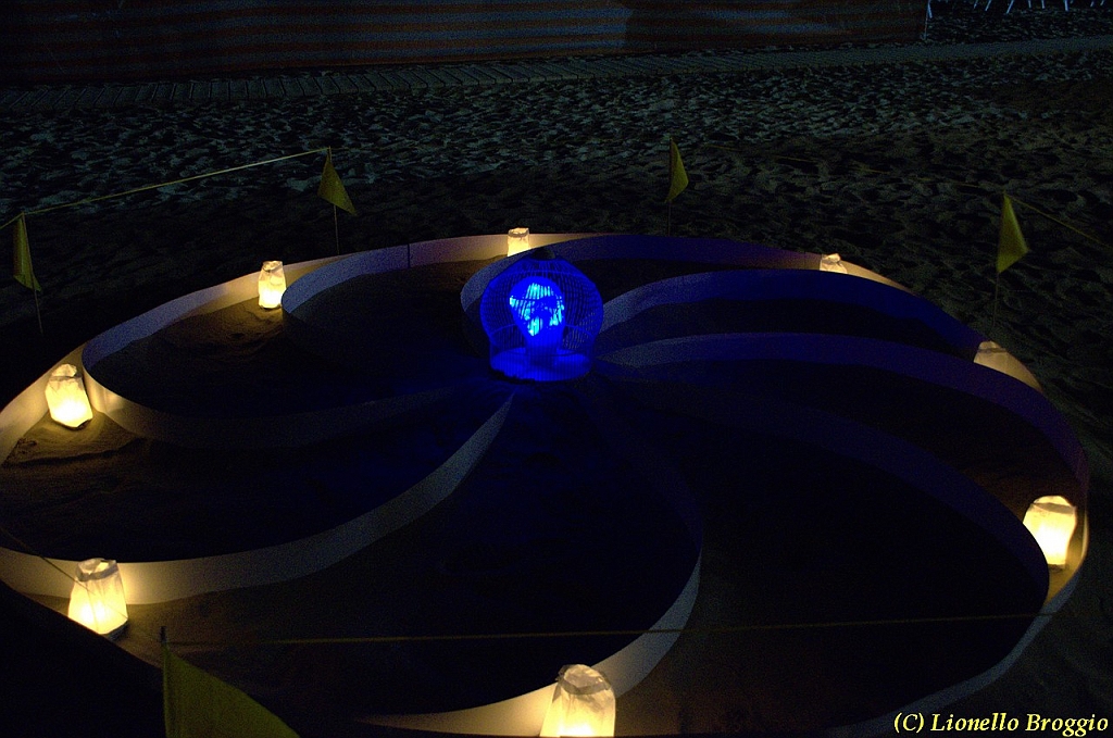 DSC_4455.jpg