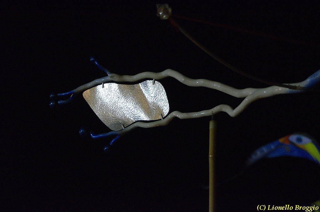 DSC_4457.jpg