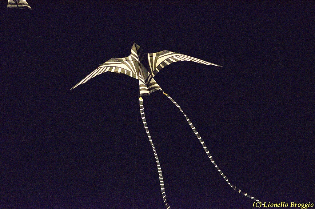DSC_4481.jpg