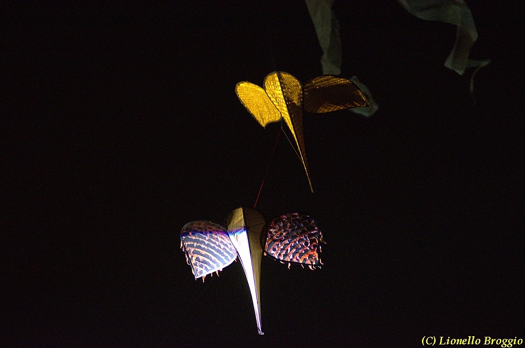 DSC_4488.jpg
