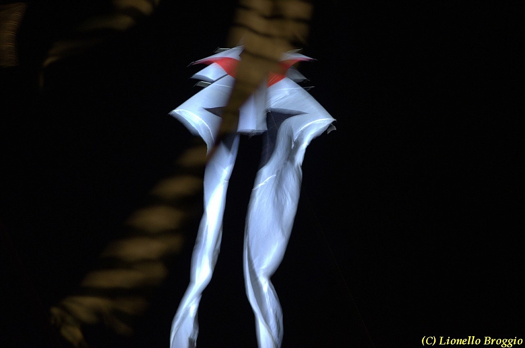 DSC_4492.jpg