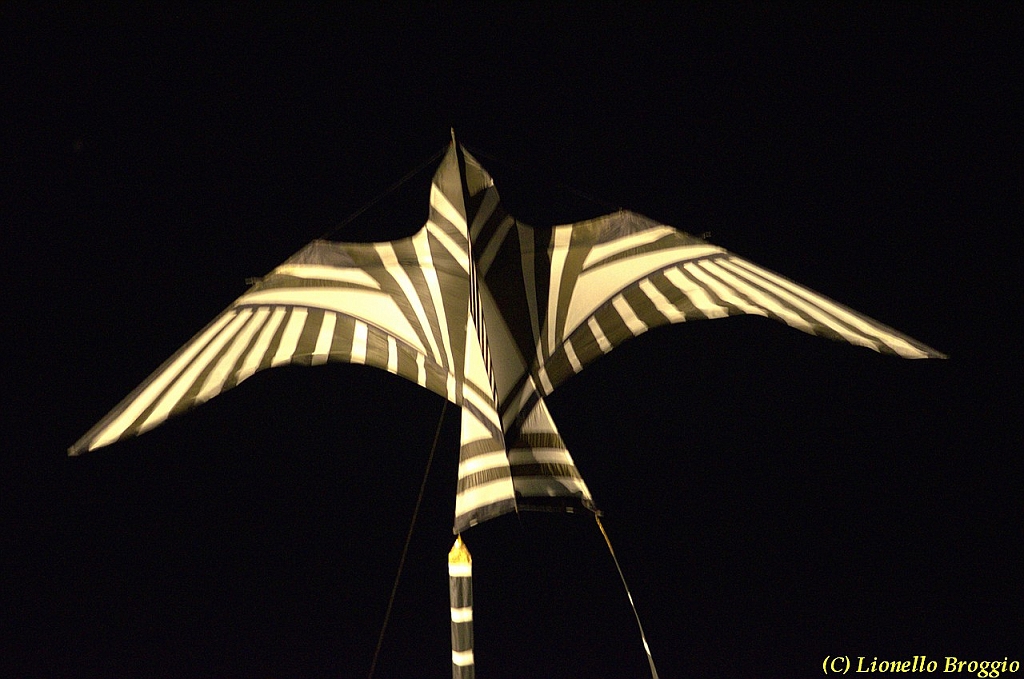 DSC_4494.jpg